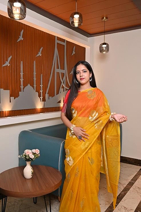 Organza Daibal Banarasi Saree with Silver & Gold Zari